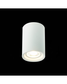 ST114.507.01 Светильник потолочный Белый GU10 1*50W IP20 L65xW65xH93 220V Без ламп ST114-foto3