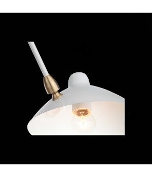 SL305.502.06 Люстра потолочная ST-Luce Белый/Белый E27 5*60W SPRUZZO-foto10