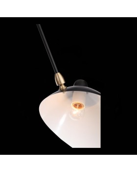 SL305.402.06 Люстра потолочная ST-Luce Черный/Черный, Белый E27 6*60W SPRUZZO-foto3