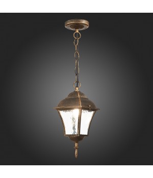 SL082.203.01 Светильник уличный подвесной ST-Luce Бронза/Бронза, Прозрачный E27 1*60W DOMENICO-foto7