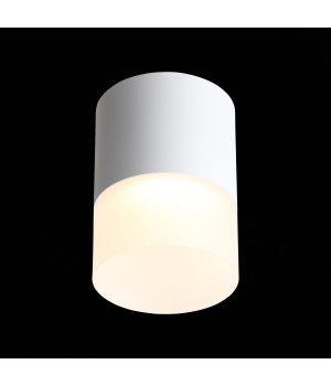 ST100.542.15 Светильник потолочный Белый LED 1*15W 4000K 1 170Lm Ra>80 120° D118xH150 170-240V OTTU-foto4