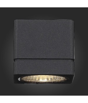 SL563.401.01 Светильник уличный настенный ST-Luce Черный/Прозрачный LED 1*8W 3000K COCTOBUS-foto8