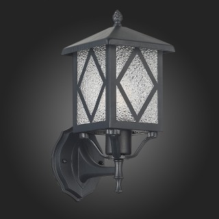 SL084.401.01 Светильник уличный настенный ST-Luce Черный/Черный, Прозрачный E27 1*60W LORNE-foto8