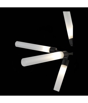 SL1620.402.12 Люстра потолочная ST-Luce Черный/Белый G9 12*5W SPLIO-foto7