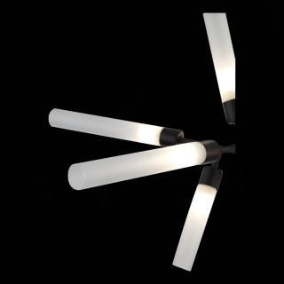 SL1620.402.12 Люстра потолочная ST-Luce Черный/Белый G9 12*5W SPLIO-foto7