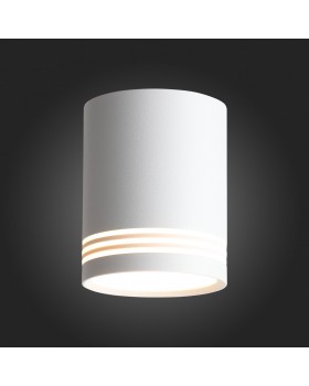 ST101.542.12 Светильник потолочный Белый LED 1*12W 4000K 936Lm Ra>80 120° IP20 D79xH100 170-240V CERIONE-foto5
