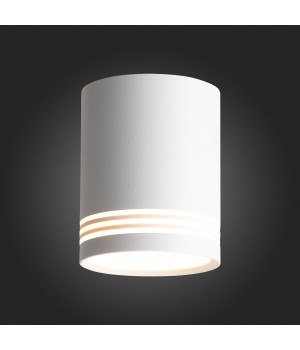 ST101.542.12 Светильник потолочный Белый LED 1*12W 4000K 936Lm Ra>80 120° IP20 D79xH100 170-240V CERIONE-foto5