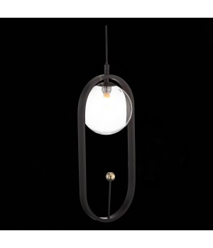 SL1201.403.01 Подвес ST-Luce Черный/Прозрачный G9 1*5W CIRCONO-foto6