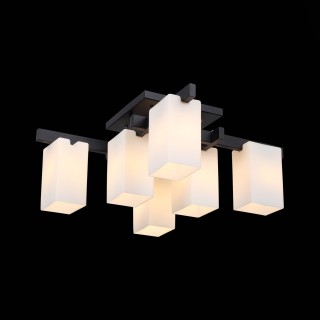 SL541.402.06 Люстра потолочная ST-Luce Черный/Белый E27 6*40W CASET-foto2