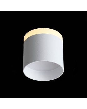 ST102.502.12 Светильник потолочный Белый LED 1*12W 3000K 936Lm Ra>80 120° IP20 D100xH90 170-240V PANAGGIO-foto6