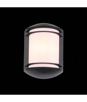 SL076.401.01 Светильник уличный настенный ST-Luce Черный/Белый E27 1*60W AGIO-foto3