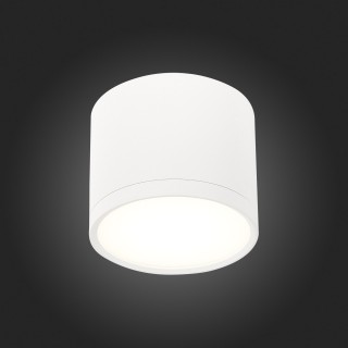 ST113.542.09 Светильник потолочный Белый LED 1*9W 4000K 702Lm Ra>80 120° IP20 D88xH75 170-240V RENE-foto5