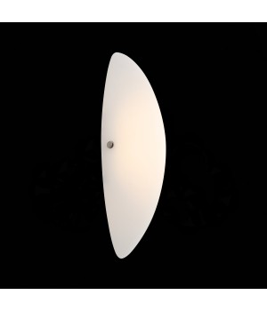 SL508.511.01 Светильник настенный ST-Luce Белый/Белый LED 1*8W 4000K SNELLO-foto4