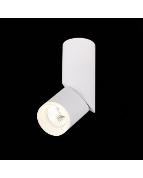 ST107.542.10 Светильник потолочный Белый LED 1*10W 4000K 780Lm Ra>80 D50xH168 170-240V TORTELLE-foto4