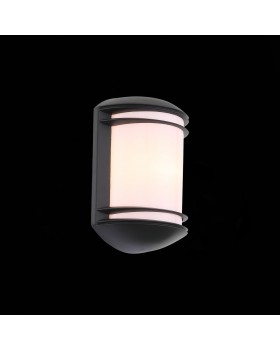 SL076.401.01 Светильник уличный настенный ST-Luce Черный/Белый E27 1*60W AGIO-foto4