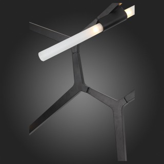 SL947.402.14 Люстра потолочная ST-Luce Черный/Белый G9 14*5W LACONICITA-foto6