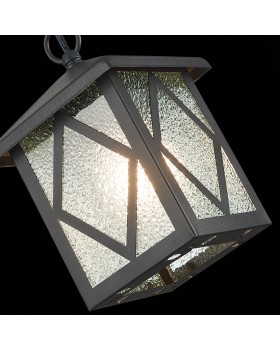 SL084.403.01 Светильник уличный подвесной ST-Luce Черный/Черный, Прозрачный E27 1*60W LORNE-foto6