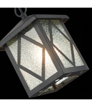 SL084.403.01 Светильник уличный подвесной ST-Luce Черный/Черный, Прозрачный E27 1*60W LORNE-foto6