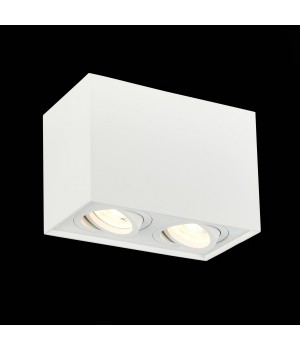 ST109.507.02 Светильник потолочный Мат. белый GU10 2*50W L181xW100xH123 220V Без ламп QUADRUS-foto3