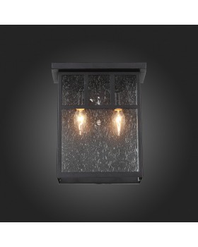 SL079.401.02 Светильник уличный настенный ST-Luce Темный кофе/Прозрачное кракелированное стекло E14 2*60W GLAZGO-foto5