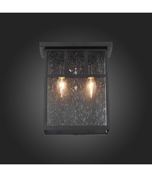 SL079.401.02 Светильник уличный настенный ST-Luce Темный кофе/Прозрачное кракелированное стекло E14 2*60W GLAZGO-foto5