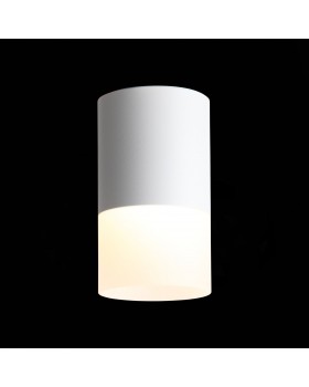 ST100.542.10 Светильник потолочный Белый LED 1*10W 4000K 780Lm Ra>80 120° D78xH135 170-240V OTTU-foto3