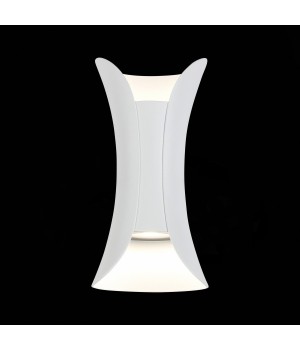 SL1584.501.01 Светильник уличный настенный ST-Luce Белый/Белый LED 1*12W 4000K COSETTO-foto4