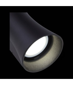 SL088.401.02 Светильник уличный настенный ST-Luce Черный кварцевый LED 2*5W 4000K DEALE-foto9