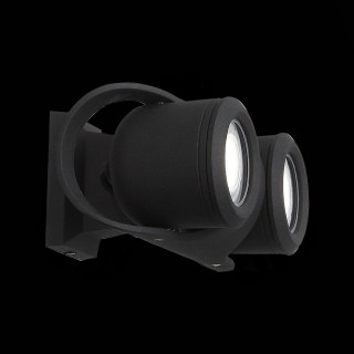 SL093.401.02 Светильник уличный настенный ST-Luce Черный/Черный, Прозрачный G5,3 2*3W ROUND-foto6