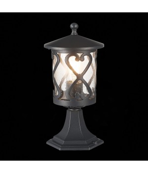 SL085.405.01 Светильник уличный наземный ST-Luce Черный/Черный, Прозрачный E27 1*60W LORNE-foto4