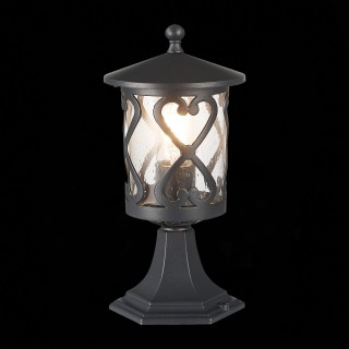 SL085.405.01 Светильник уличный наземный ST-Luce Черный/Черный, Прозрачный E27 1*60W LORNE-foto4