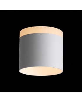 ST102.502.12 Светильник потолочный Белый LED 1*12W 3000K 936Lm Ra>80 120° IP20 D100xH90 170-240V PANAGGIO-foto4