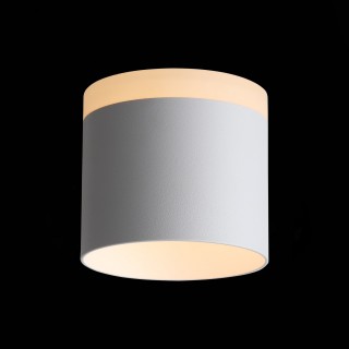 ST102.502.12 Светильник потолочный Белый LED 1*12W 3000K 936Lm Ra>80 120° IP20 D100xH90 170-240V PANAGGIO-foto4