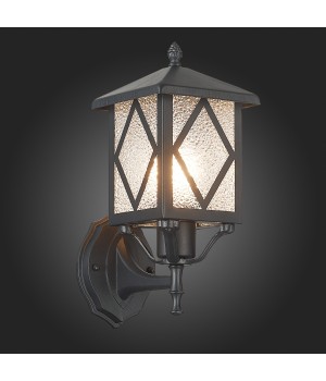 SL084.401.01 Светильник уличный настенный ST-Luce Черный/Черный, Прозрачный E27 1*60W LORNE-foto7