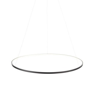 SL904.413.01 Светильник подвесной ST-Luce Черный/Белый LED 1*16W 4000K ERTO-foto3