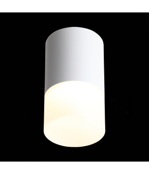 ST100.542.05 Светильник потолочный Белый LED 1*5W 4000K 390Lm Ra>80 120° D64xH110 170-240V OTTU-foto4