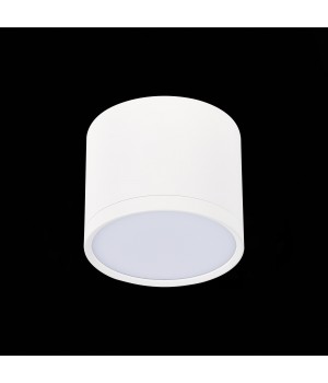 ST113.542.09 Светильник потолочный Белый LED 1*9W 4000K 702Lm Ra>80 120° IP20 D88xH75 170-240V RENE-foto4