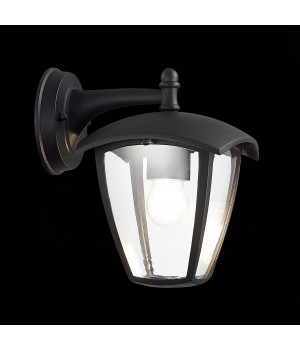 SL081.411.01 Светильник уличный настенный ST-Luce Черный/Черный, Прозрачный E27 1*40W SIVINO-foto6