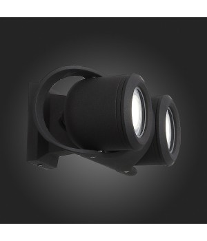 SL093.401.02 Светильник уличный настенный ST-Luce Черный/Черный, Прозрачный G5,3 2*3W ROUND-foto9