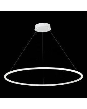 ST605.543.46 Светильник подвесной ST-Luce Белый/Белый LED 1*46W 4000K ST605 DOWN-foto3