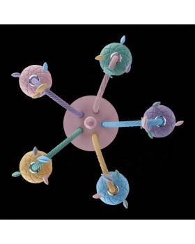 SL1700.782.05 Люстра потолочная ST-Luce Разноцветный E14 5*40W FIATA-foto6