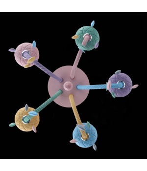 SL1700.782.05 Люстра потолочная ST-Luce Разноцветный E14 5*40W FIATA-foto6