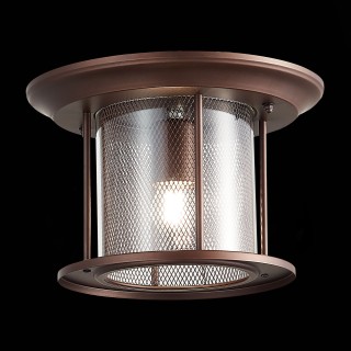 SL080.402.01 Светильник уличный потолочный ST-Luce Темный кофе/Прозрачный, Темный кофе E27 1*60W LASTERO-foto3