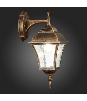 SL082.211.01 Светильник уличный настенный ST-Luce Бронза/Бронза, Прозрачный E27 1*60W DOMENICO-foto9