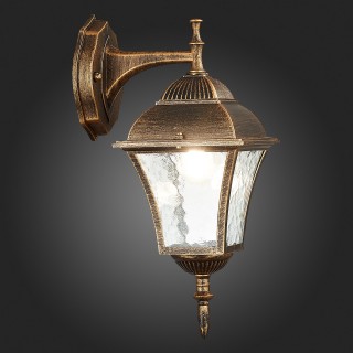 SL082.211.01 Светильник уличный настенный ST-Luce Бронза/Бронза, Прозрачный E27 1*60W DOMENICO-foto9