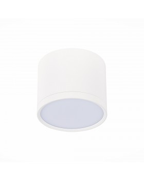 ST113.542.09 Светильник потолочный Белый LED 1*9W 4000K 702Lm Ra>80 120° IP20 D88xH75 170-240V RENE-foto2