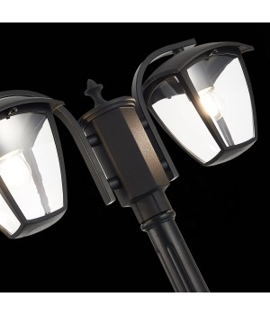 SL081.405.02 Светильник уличный наземный ST-Luce Черный/Черный, Прозрачный E27 2*40W SIVINO-foto8