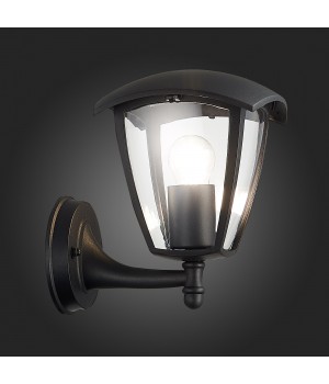 SL081.401.01 Светильник уличный настенный ST-Luce Черный/Черный, Прозрачный E27 1*40W SIVINO-foto9