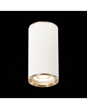 ST111.537.01 Светильник потолочный Белый GU10 1*50W D54xH105 220V Без ламп CHOMUS-foto3