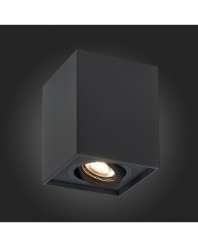 ST109.407.01 Светильник потолочный Мат. черный GU10 1*50W L100xW100xH123 220V Без ламп QUADRUS-foto5